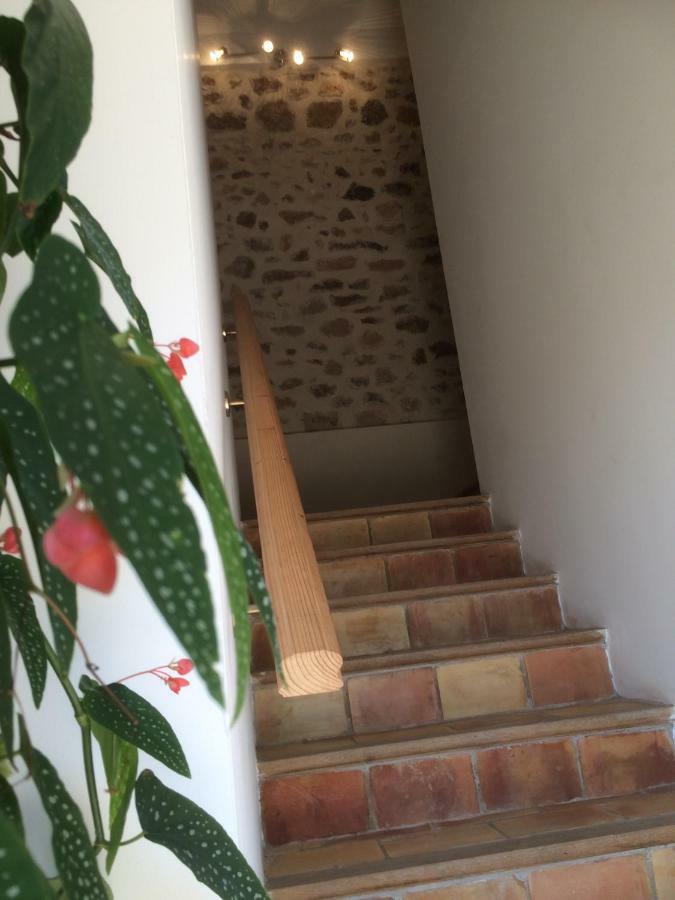 Domaine De Camp Joyeux Appartement Puget-Ville Buitenkant foto