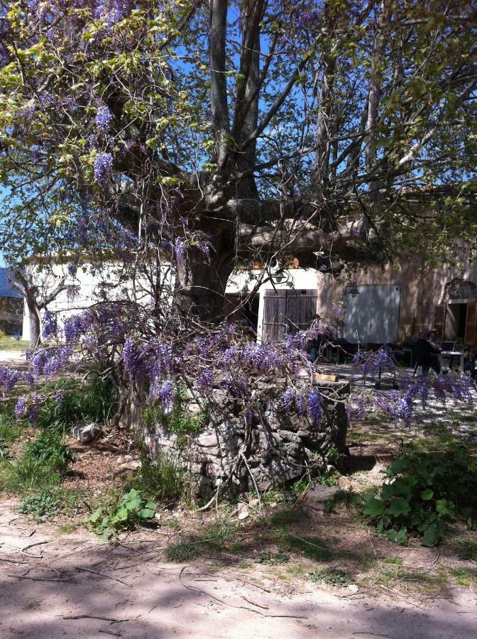Domaine De Camp Joyeux Appartement Puget-Ville Buitenkant foto