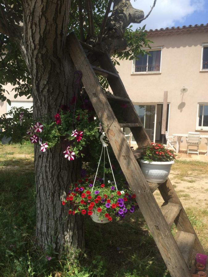 Domaine De Camp Joyeux Appartement Puget-Ville Buitenkant foto