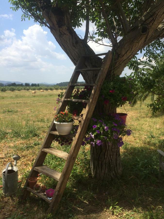 Domaine De Camp Joyeux Appartement Puget-Ville Buitenkant foto
